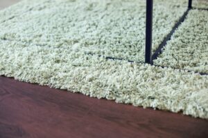 Beberapa Tips Mudah Untuk Membersihkan Dan Merawat Karpet Bulu Anda di Rumah